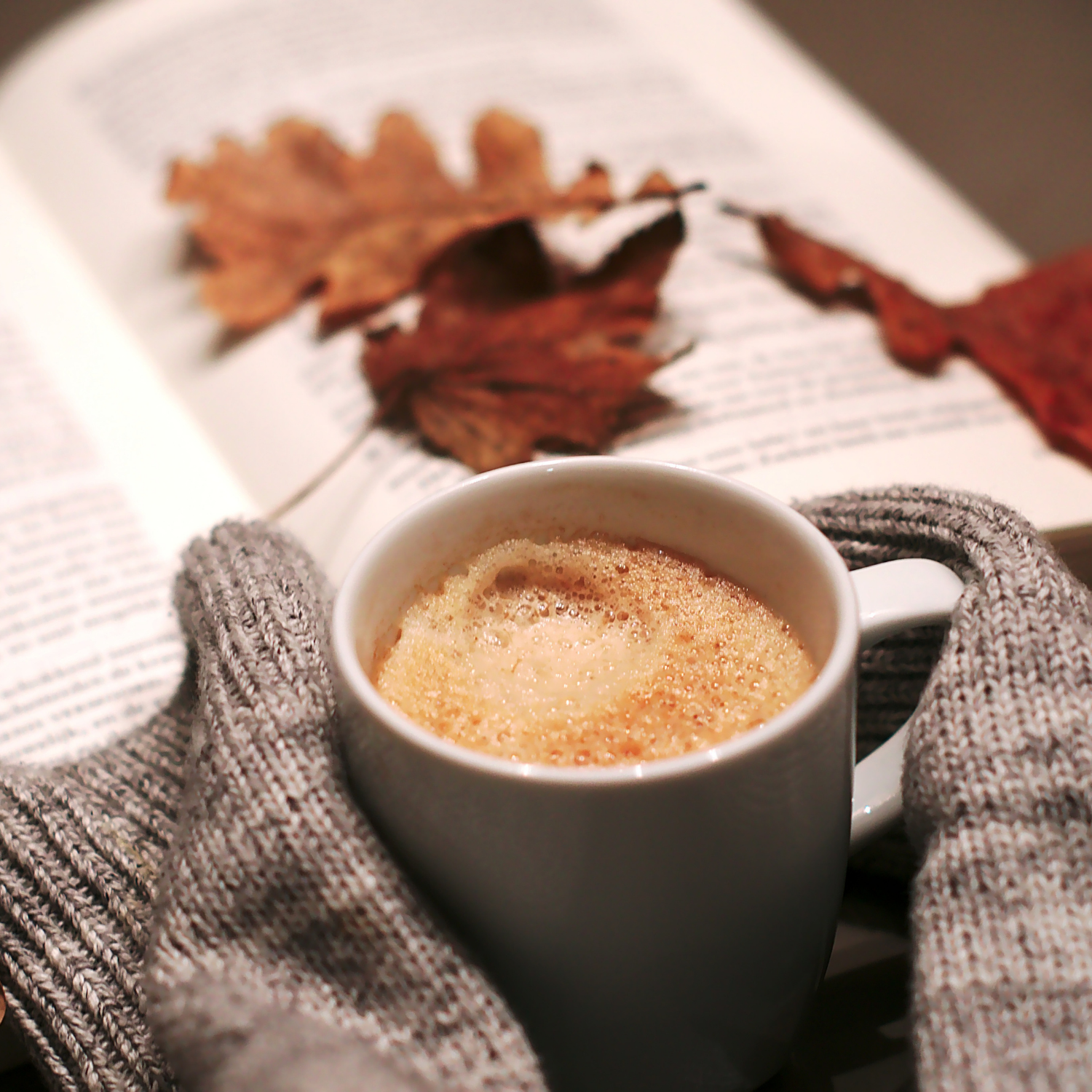 Octobre : un mois que l'on adore!