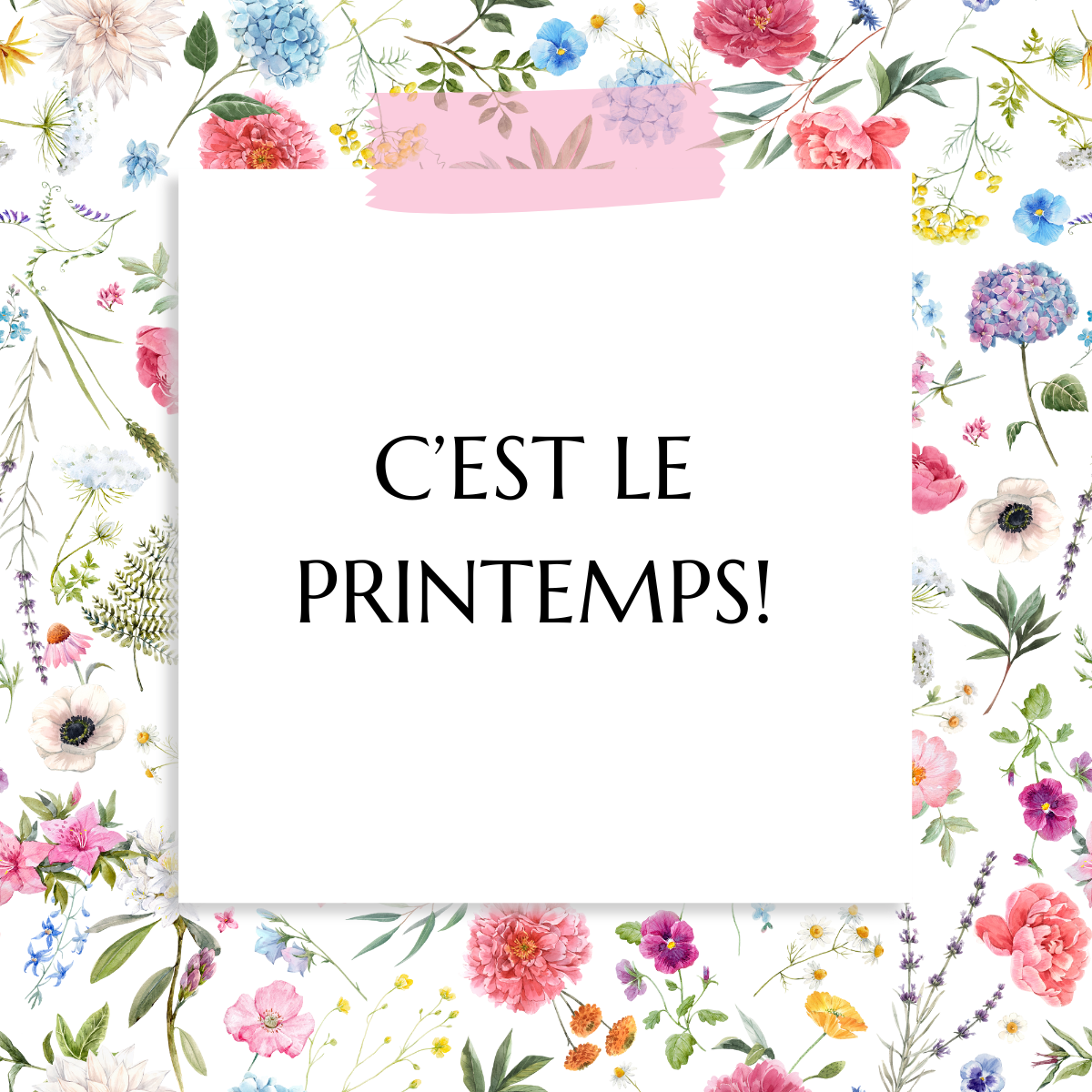 Les nouvelles collections du printemps chez Elena : fraîcheur et renouveau !