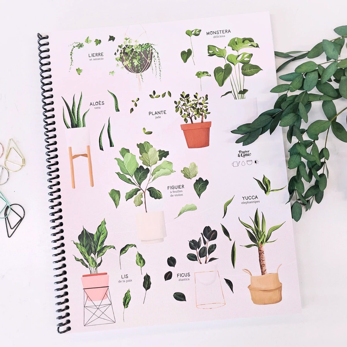 Cahier De Notes Sierra