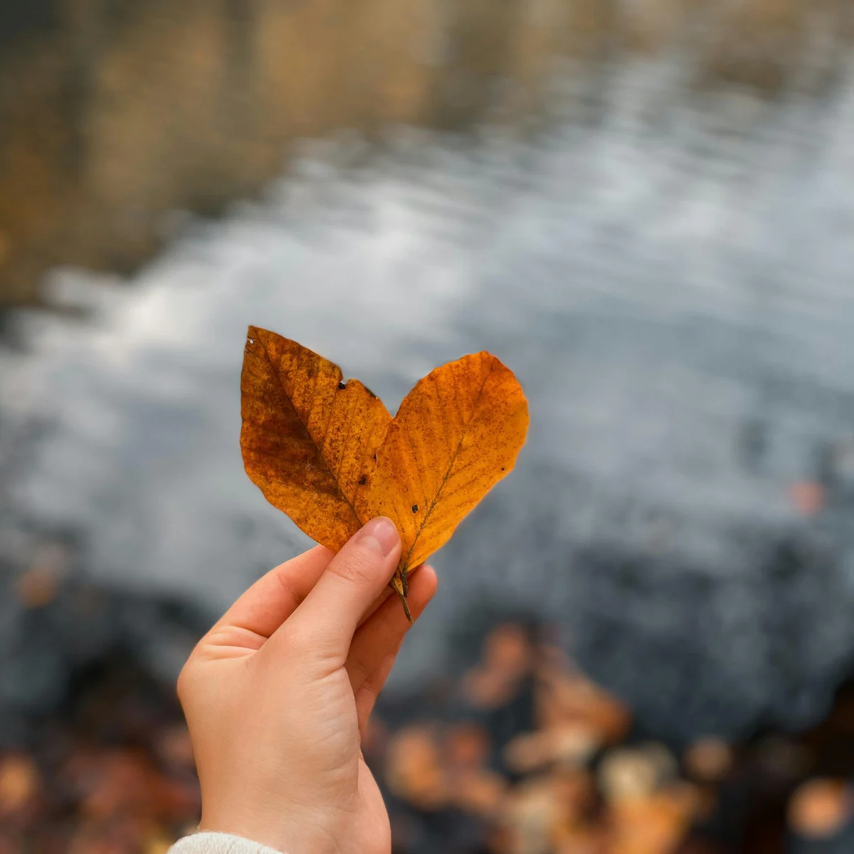 L’automne est officiellement installé en Abitibi
