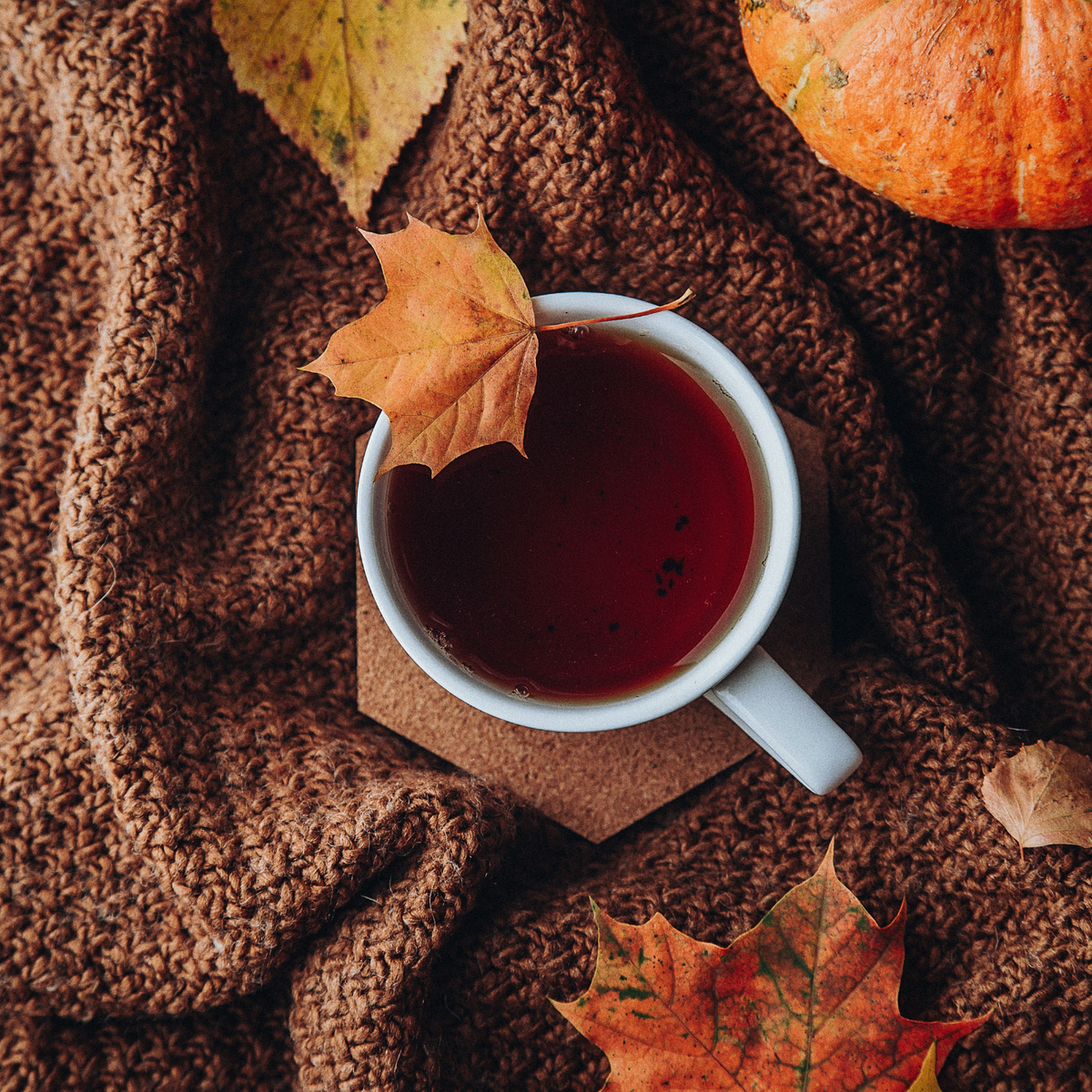 Le retour à la routine et l'arrivée de l'automne