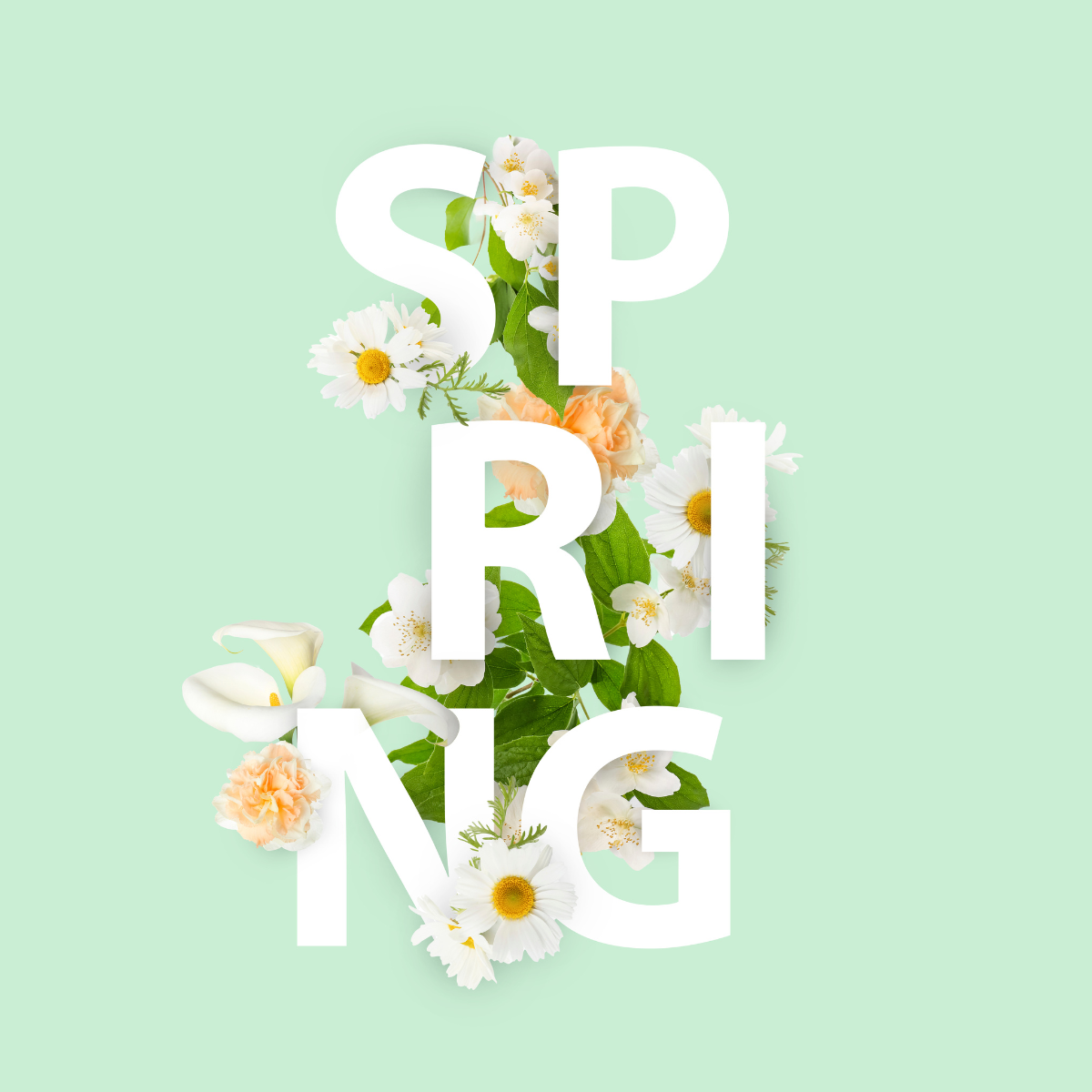 🌸MARS chez Elena = Arrivée du printemps !