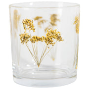 Verre Stem
