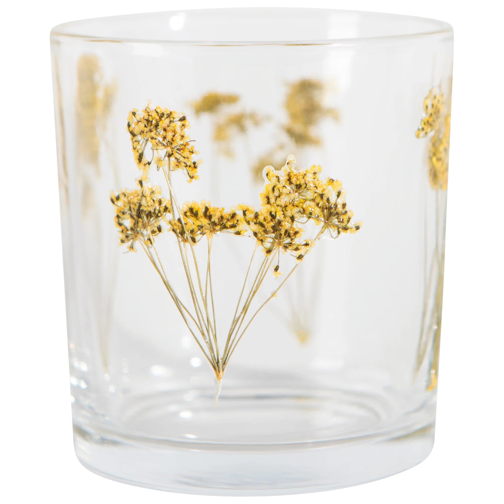 Verre Stem