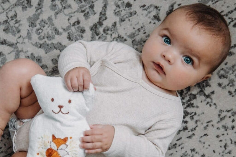 Ourson Thérapeutique Renaud Dinosaures