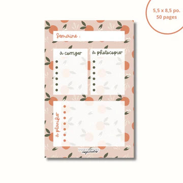 Bloc-Notes Planification Prof Clémentines