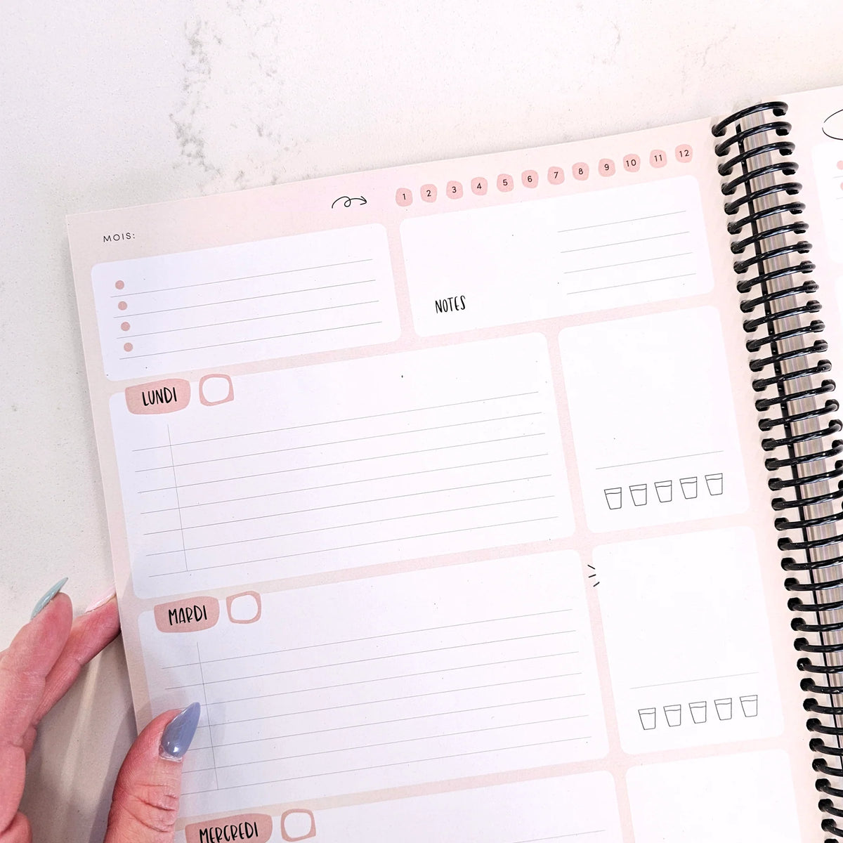 Agenda 4e Édition Non-Daté lucia