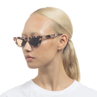 Lunette De Soleil Polaris Cookie Tort