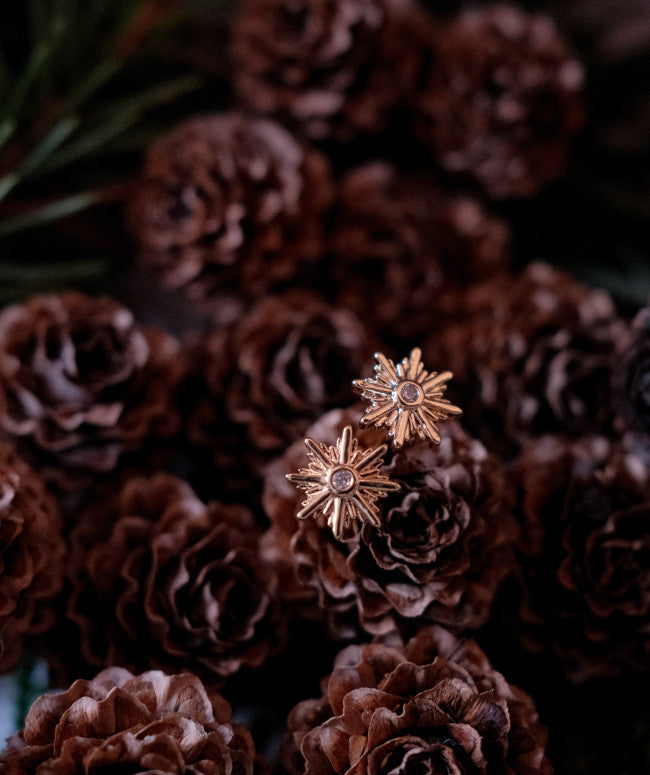 Boucles D'oreilles Lumière
