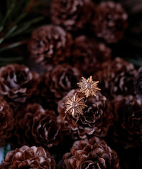 Boucles D'oreilles Lumière