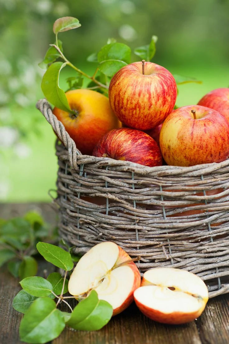 Bougie Pomme