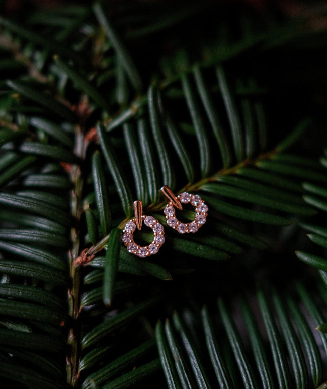 Boucles D'oreilles Couronne