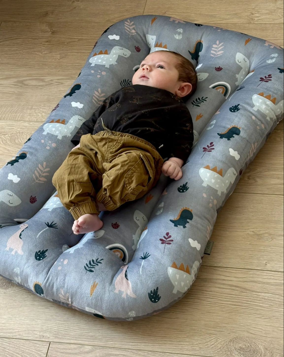 Petits Coussins Dino Gris