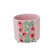 Pot De Fleurs Échinacée