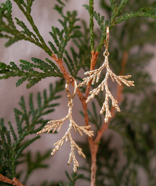 Boucles D'oreilles Branche De Cèdre