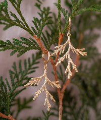 Boucles D'oreilles Branche De Cèdre