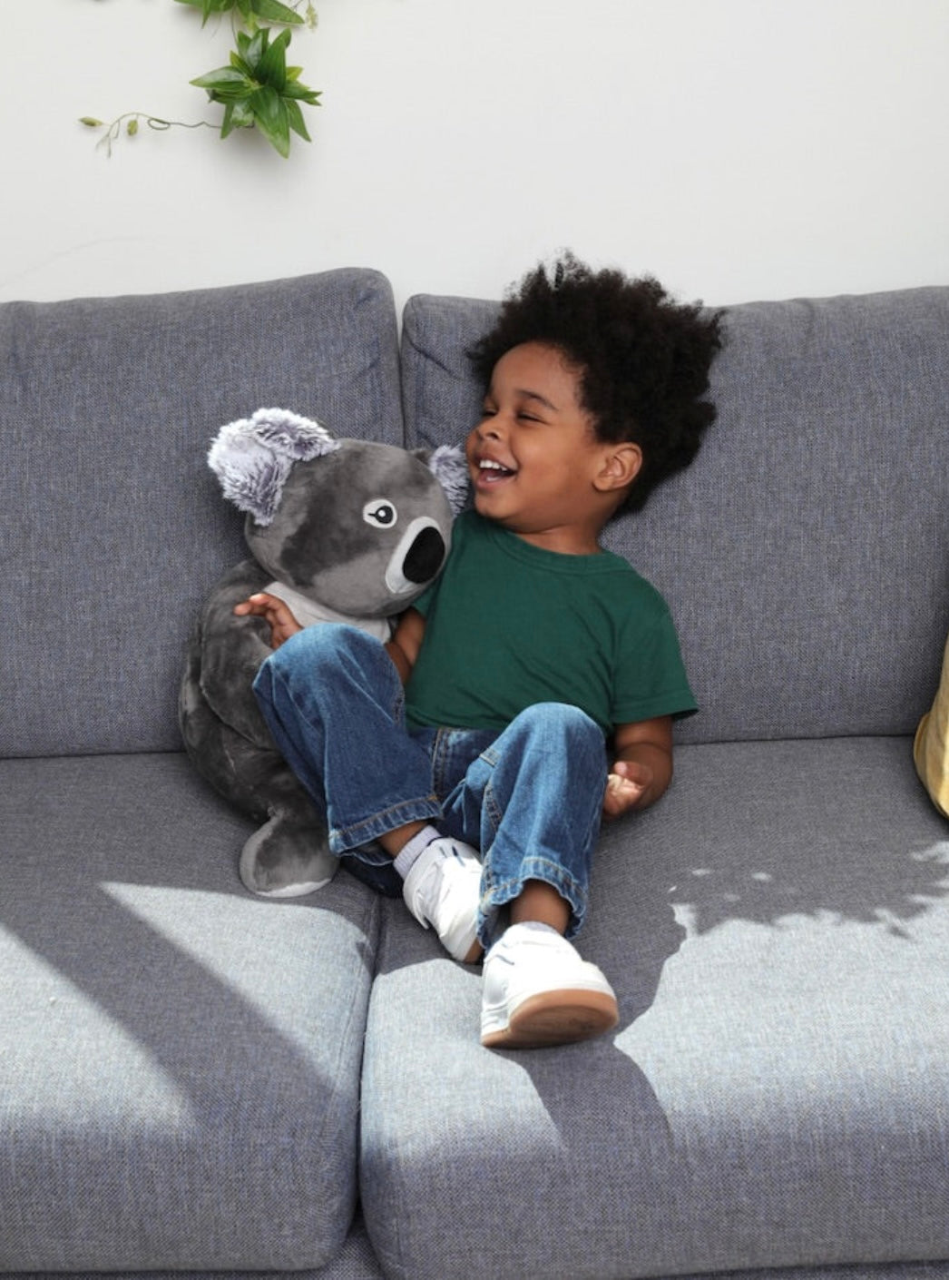 Peluche Réconfort Quinn Le Koala