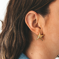 Boucles D'oreille Stelio