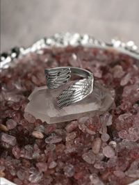 Bague One Size Fly Argent