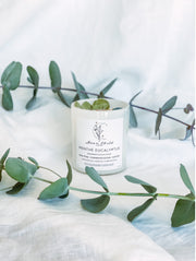 Chandelle Menthe & Eucalyptus - Chrysocolle