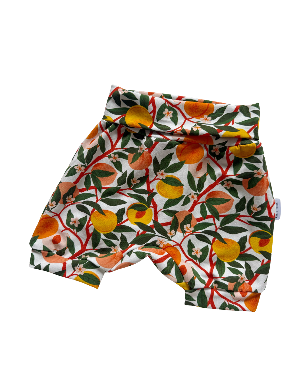Shorts Évolutives Pêche