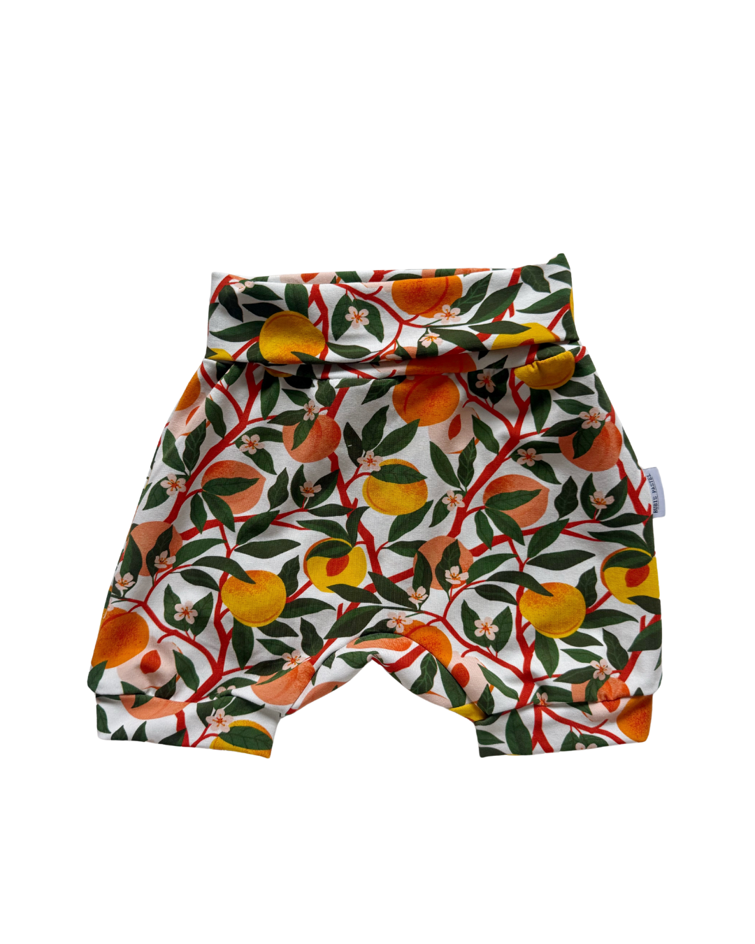 Shorts Évolutives Pêche