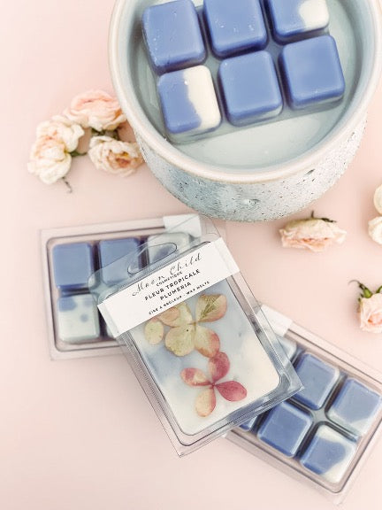 Cube De Cire Fleur Tropicale
