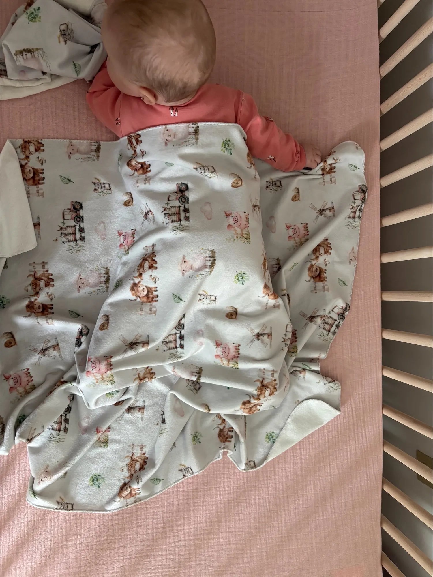 Doudou En Squish Allaitement Ferme