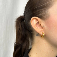 Boucles D'oreilles Holerio