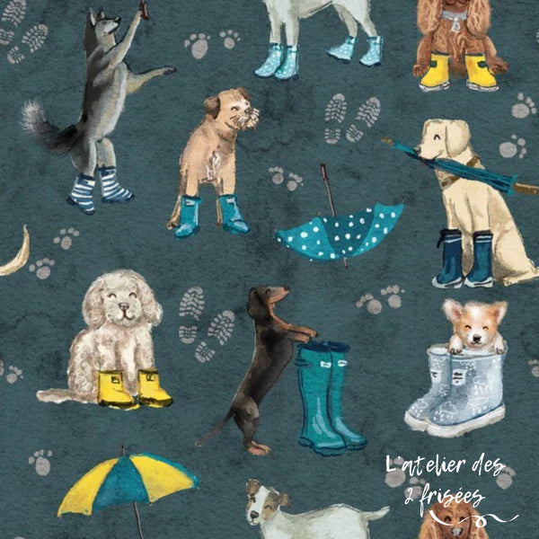 Poubelle De Voiture Chiots Sous La Pluie