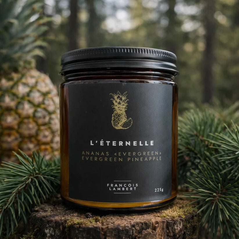 Chandelle L'Éternelle - Ananas Evergreen