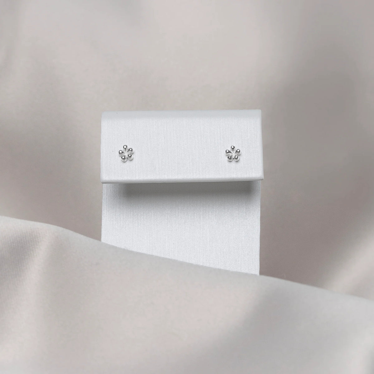 Boucles D'oreilles Les Craquantes Argent