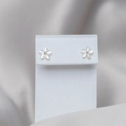 Boucles D'oreilles Les Envoûtantes