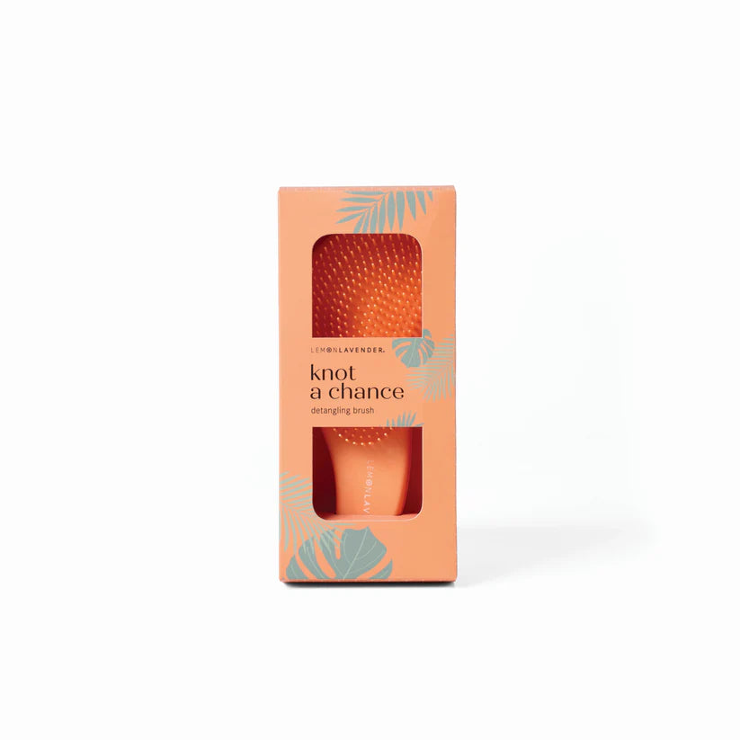 Brosse Cheveux Bleu