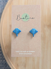 Studs Raies