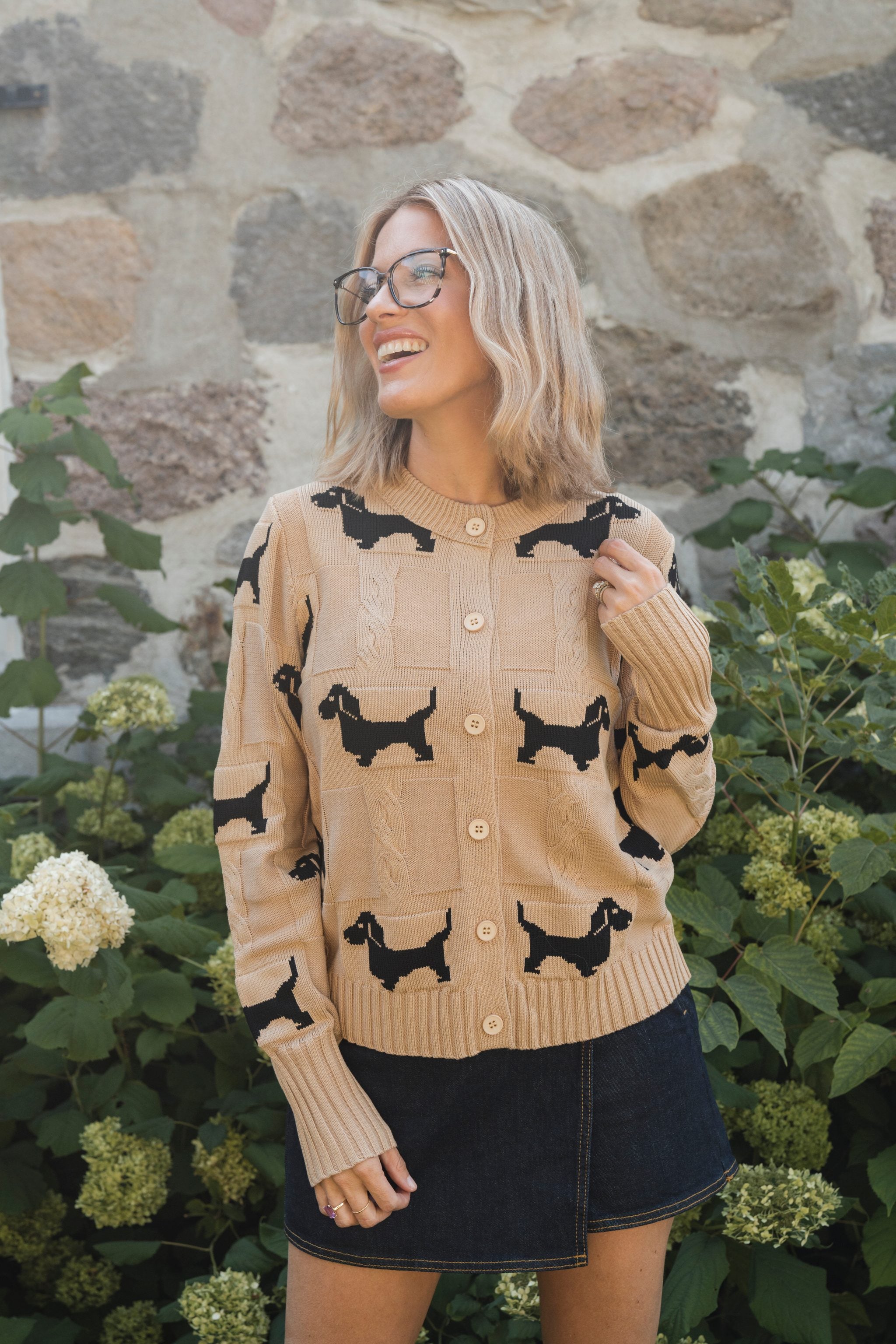 Cardigan Chiens Saucisses Sable
