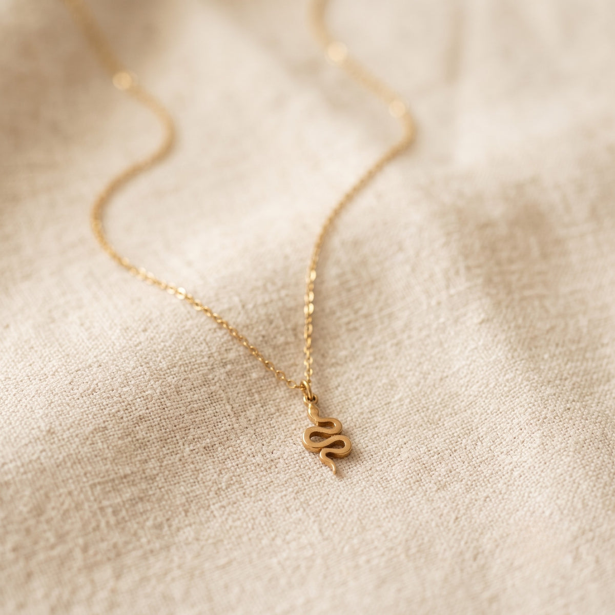 Collier Snake Or