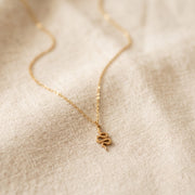 Collier Snake Or