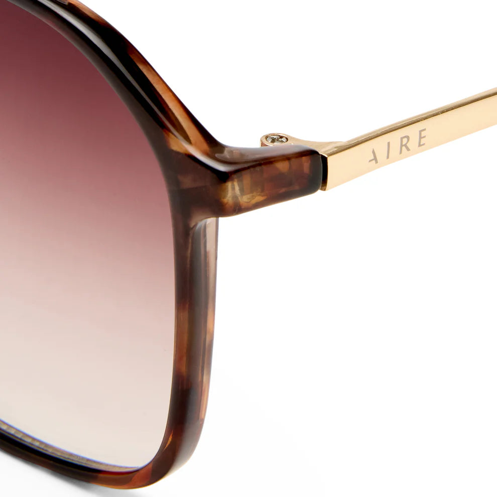 Lunette De Soleil Cusp Gold Noir Tort