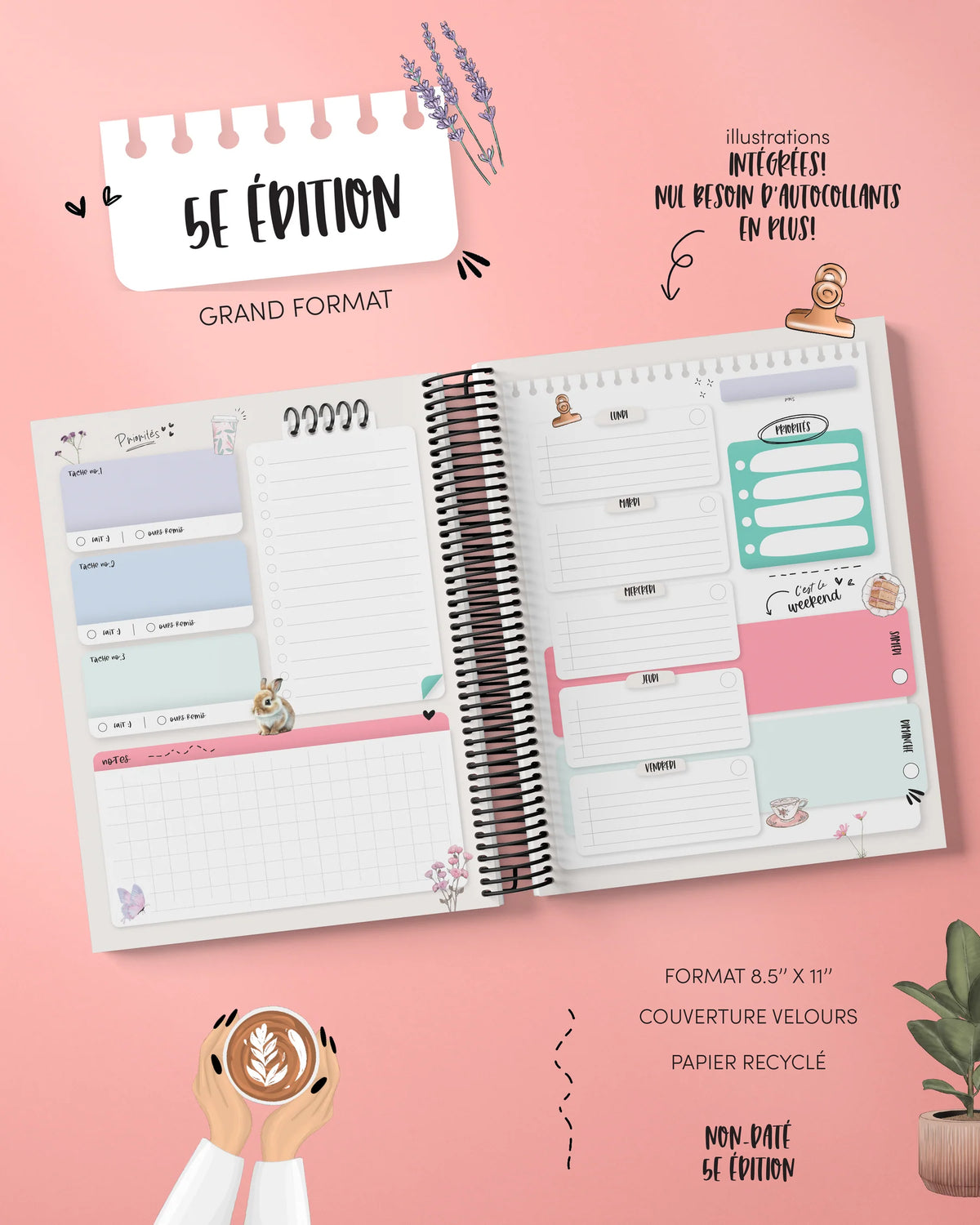 Agenda 5e Édition Anouk