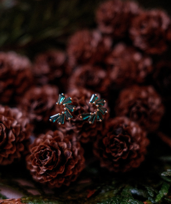 Boucles D'oreilles Ornement