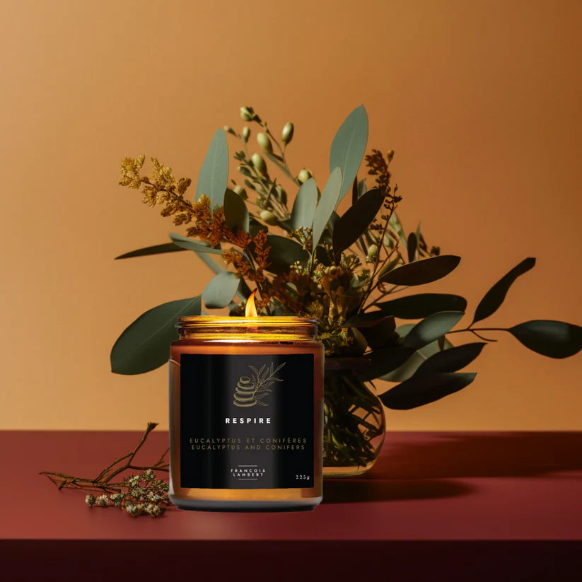 Chandelle Respire - Eucalyptus & Conifères