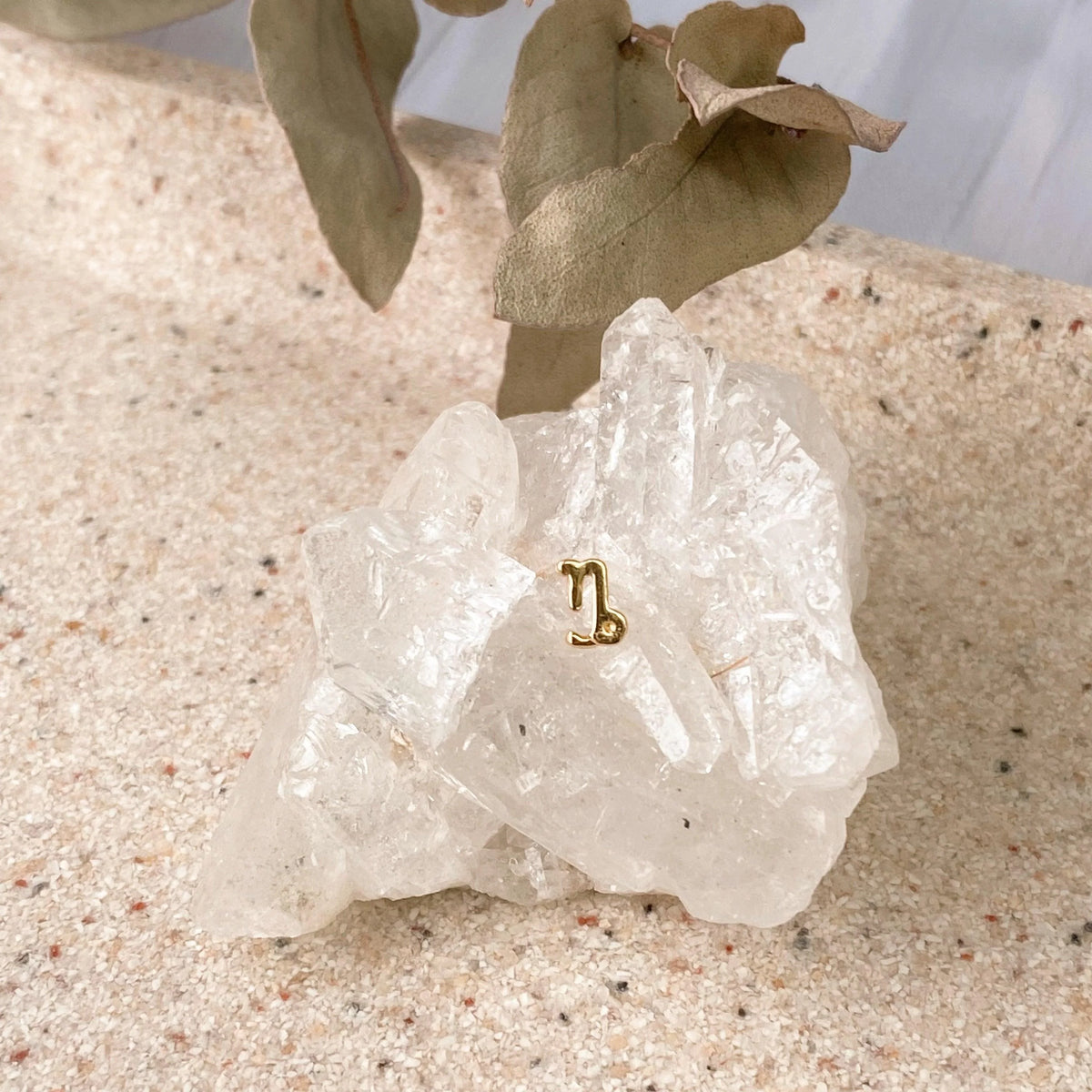 Boucles D'oreilles Astro Capricorne