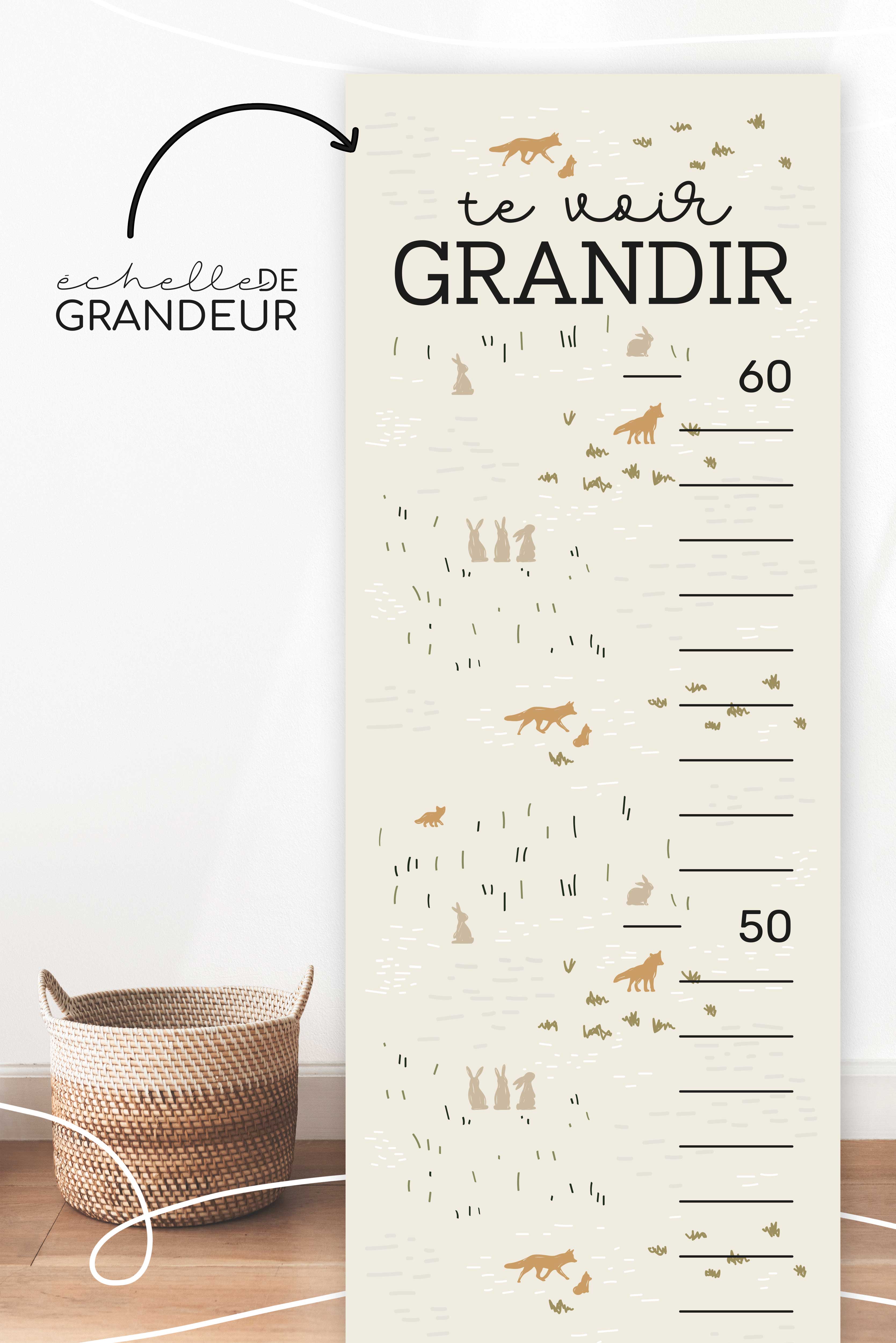 Échelle De Grandeur Renard Lapin Et Support En Bois Magnétique