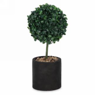 Plante Feuillage Boule Pot Noir