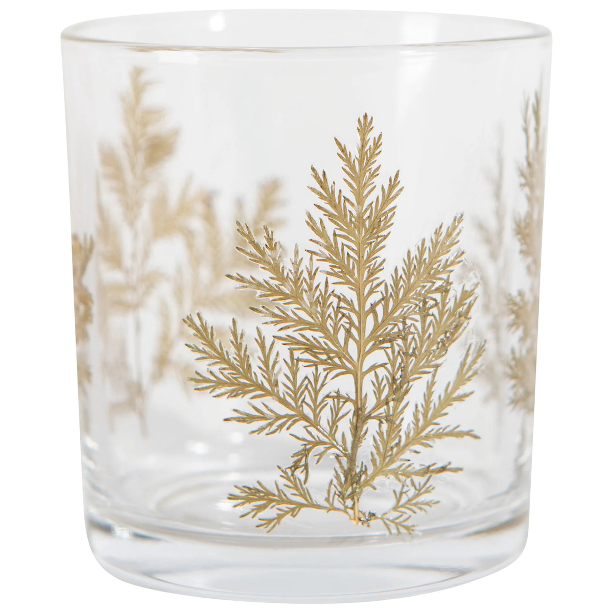 Verre Folia