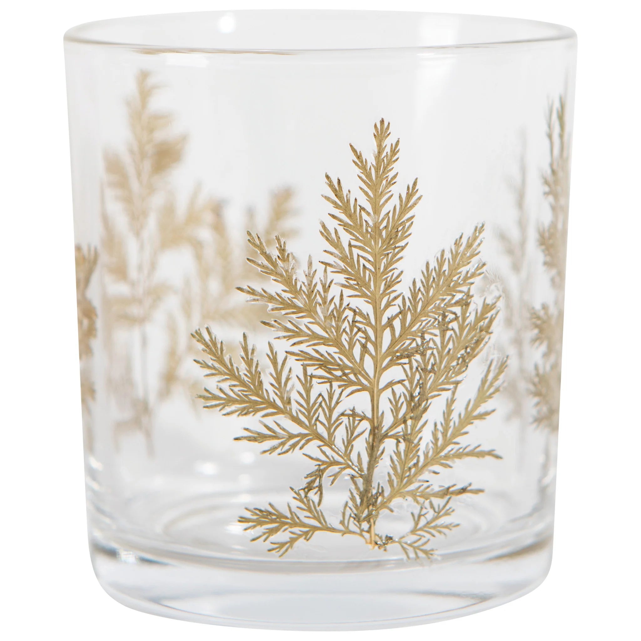 Verre Folia