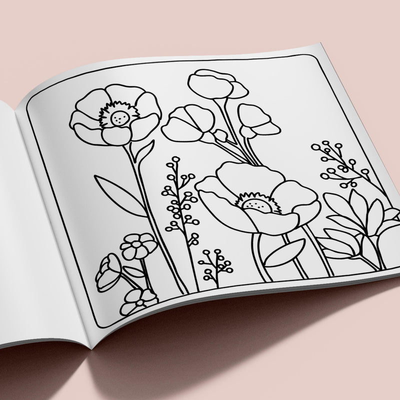 Livre À Colorier Tome 2