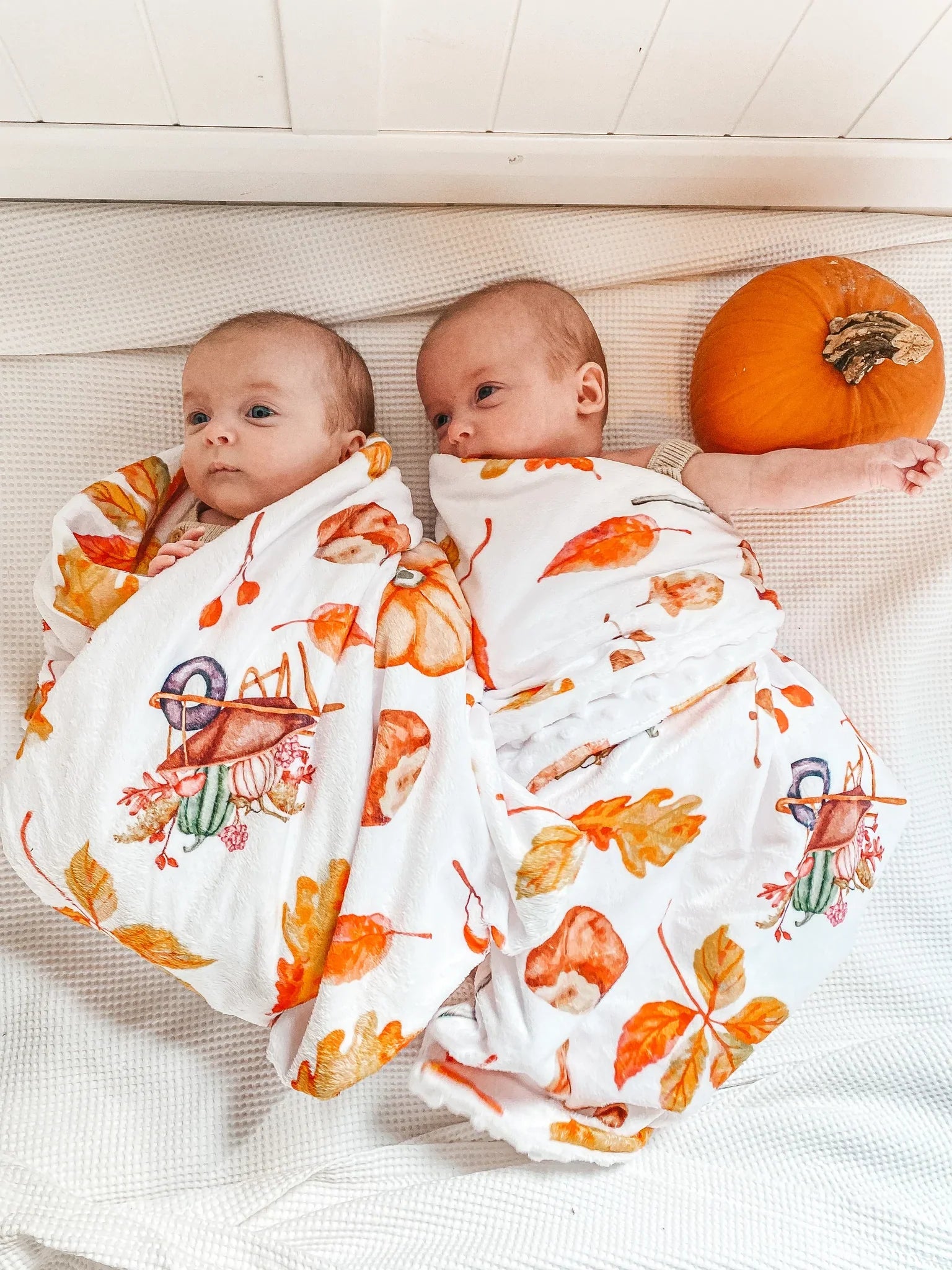 Doudou Peluche Brouette Automnale