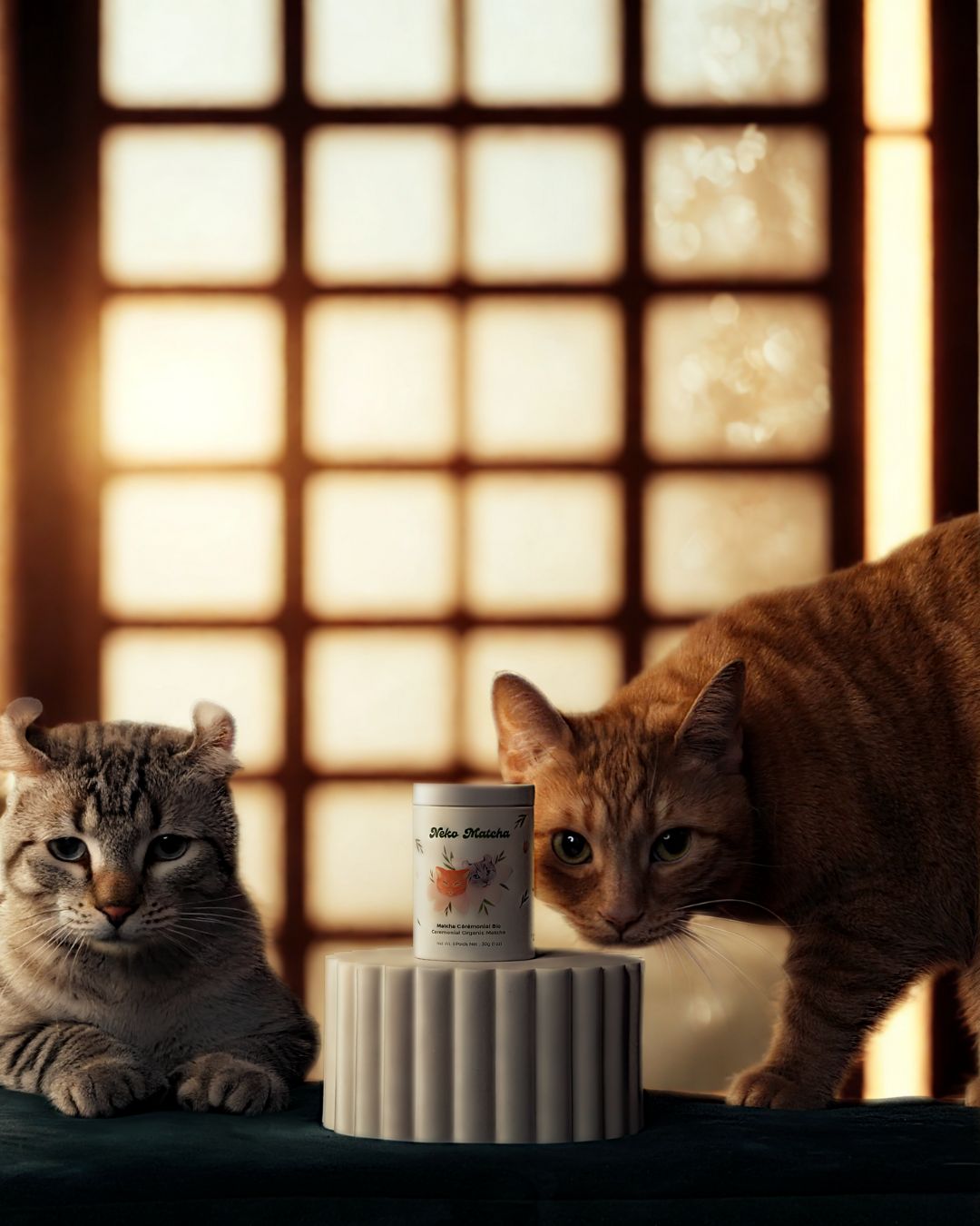 Matcha Neko Écocert